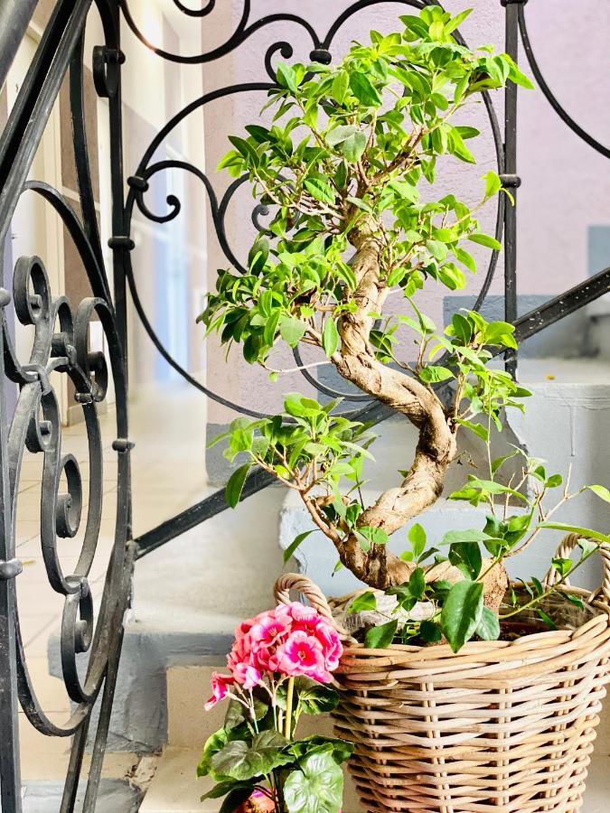 City Residence Rooms & Apartments Βιέννη Εξωτερικό φωτογραφία